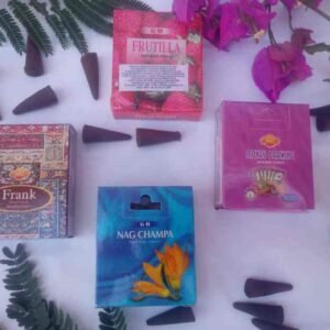 01 Conos x10 unidades