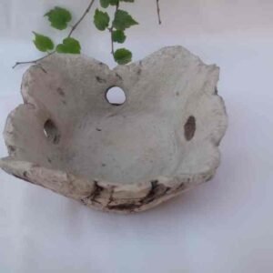 005-Arrocero cuadrado