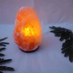 005-Piedra entera de sal