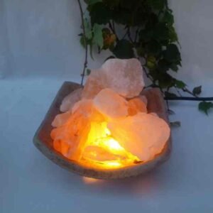 008-Compotera chica con sal y kit electrico