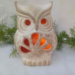 08-Lechuza grande con sal y kit electrico