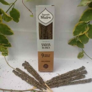 09-Salvia blanca