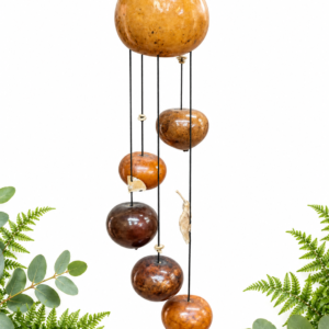 01 Calabaza corta