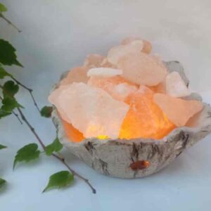 011-Arrocero cuadrado con sal y kit electrico