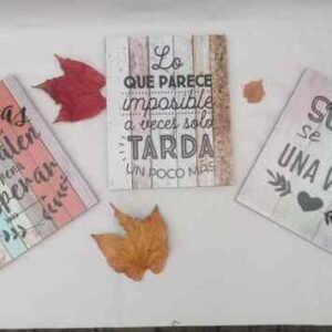 014 Cuadro con frase 25x20