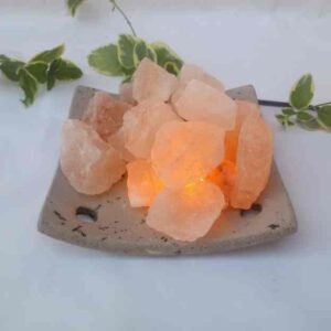 015-Chino chico con sal y kit electrico