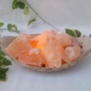 020-Gajo chico con sal y kit electrico