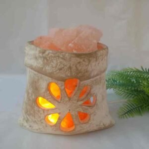 21-Bolsita con sal y kit electrico