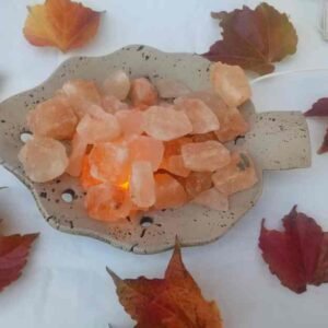 026-Cuenco hoja chico con sal y kit electrico