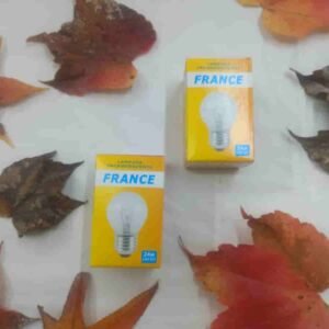 029 Lamparita grande