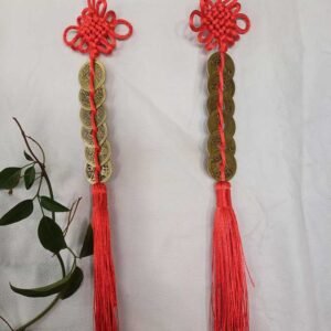 45-Colgante Feng Shui 6 monedas