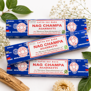 06-Satya nag champa
