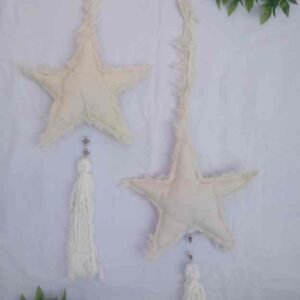 61-Estrella de lienzo