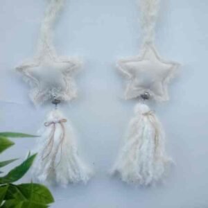 94-Manijero estrella de lienzo