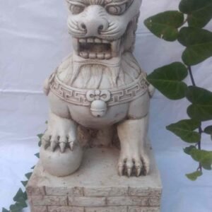 128-Perro fu grande macho