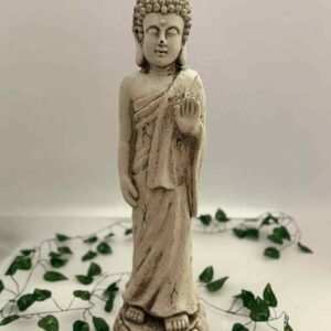 132-Buda parado chico