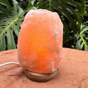 lamparas de sal completas con sal cable y lamparita