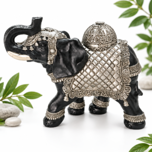 23-Elefante cupula